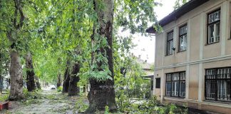 Vjetar čupao stabla i nosio krovove