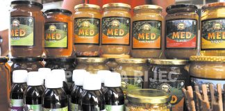 Pčele proglašene najvažnijim bićima na Zemlji