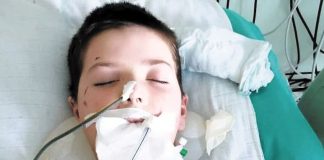 Vedadu je potrebna naša pomoć