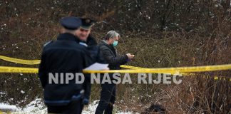 Ubistvo u Novoj Zenici