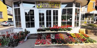 “Orhideja” nudi jedinstvene cvjetne poklone za Dan žena