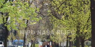 Protivpandemijske mjere produžene za još 14 dana