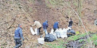 Zajedničkim snagama, obnovimo naš ekosistem