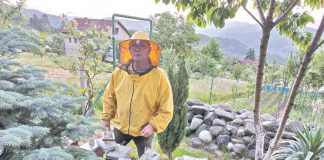 Najveća mi je nagrada kad su moje pčele zdrave