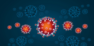 Korona virus uzeo još pet života