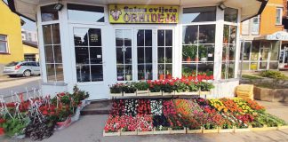 Najljepše poklone potražite u cvjećari „Orhideja“