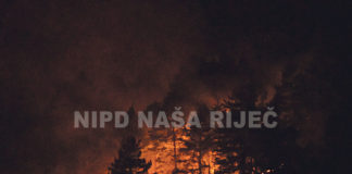 Nesavjesno ponašanje građana uzrok brojnih požara