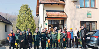 Planirana sadnja oko 20.000 sadnica raznih vrsta drveća