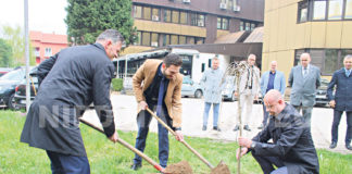 Zasadili stabla za Dan planete Zemlje