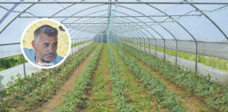 Na očevini se i umorim i odmorim