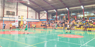 Bosna nadigrala Leotar