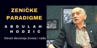 Zeničke paradigme