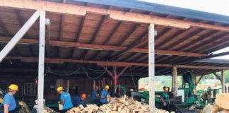 Počeo upis ogrjeva na kredit