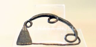 Zenička Fibula biće tema naučnog rada