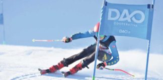 Sjajna sezona za Dajru Duraković i Tajru Šahbazović