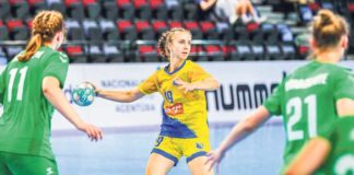 Sve se stiže uz dobru organizaciju i postavljenje prioriteta