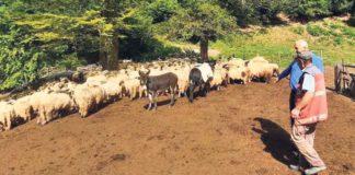 Svi koji ispunjavaju uslove imaju pravo na poticaj