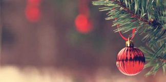 Najvažnije je pronaći smisao sretnoga i ispunjenoga života