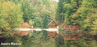 Turistička zajednica kao zamajac razvoja turizma