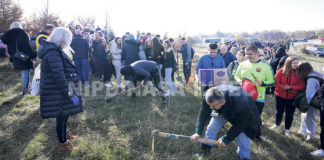 Na Smetovima posađeno više od 400 sadnica bijelog bora