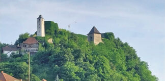 Sa Gradine se mora ukloniti bršljan