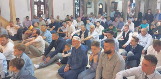 Poruke mira i razumijevanja