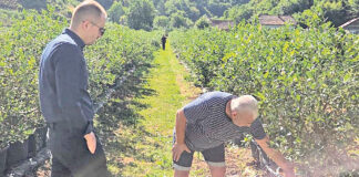 Čajić posjetio plantažu borovnice u Visokom