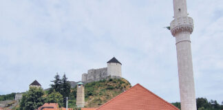 Čuvari historije Tešnja