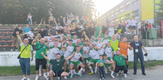 Remi Krivaje i Vareša