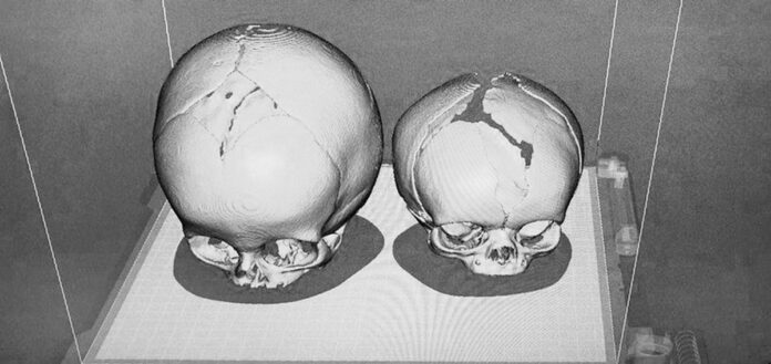 SKULL_F_7m_M_27d_digital_2021-07-27-15