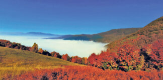 Spalionica otpada nije realna opcija za Zenicu