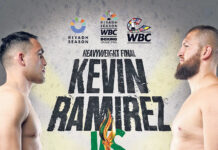 Spreman sam osvojiti titulu