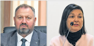 „Da plin dođe do svake fabrike u ZDK“