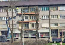 U toku je akcija prevršavanja stabala na području Zenice