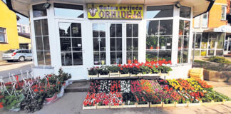 Četiri decenije ljubavi prema cvijeću