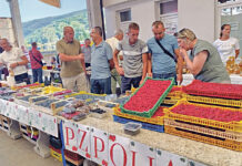 Jubilarni „Dani maline i meda“ potvrdili značaj organske poljoprivrede