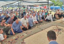 Kobilica: Lastavica je primjer zajedničkog okupljanja i čuvanja zajednice